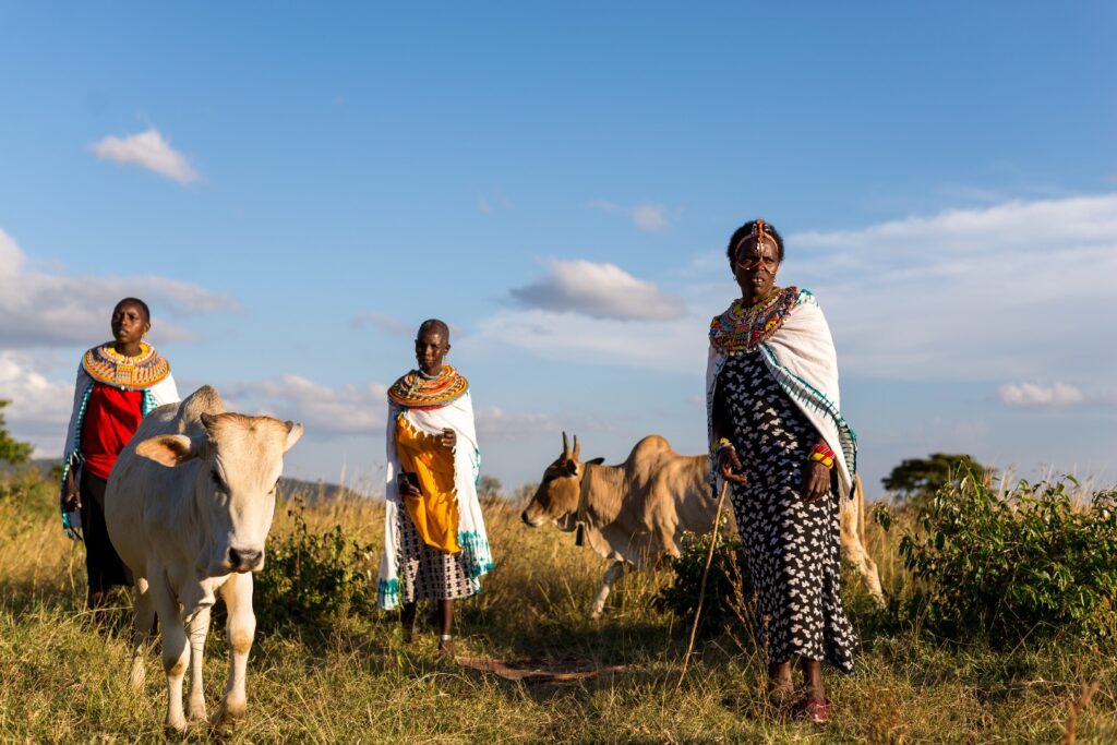 Emily, Sabina and Ntekekwa formed a special entrepreneurial group in Samburu, Kenya, to build their livelihoods, diversify incomes, battle climate change in the desert, and boosted their ability to care for their families.