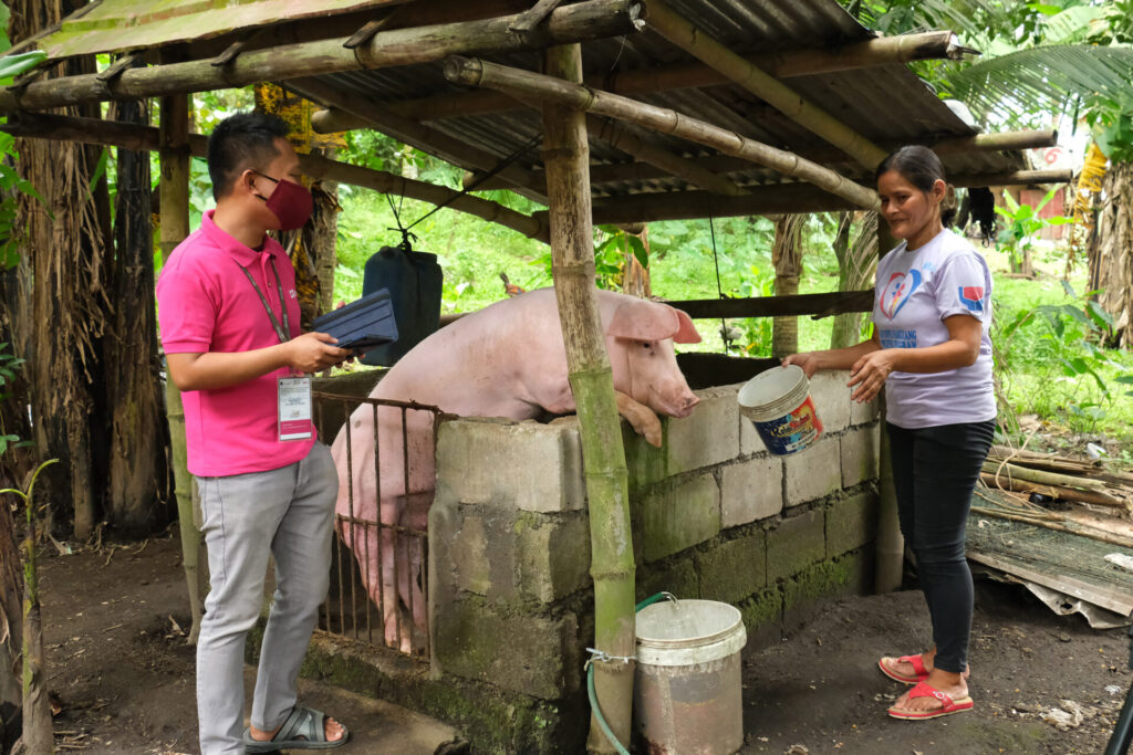 A coach visits a participant and her pigs for a monitoring visit