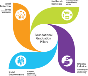 The four pillars of the Graduation approach.