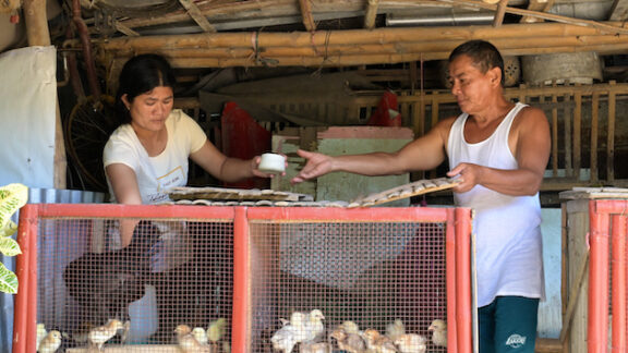 Elvie Gallo's thriving chicken business means she can support her family and put aside savings to build resilience against future shocks. Credit: BRAC/Robert Irven 2022
