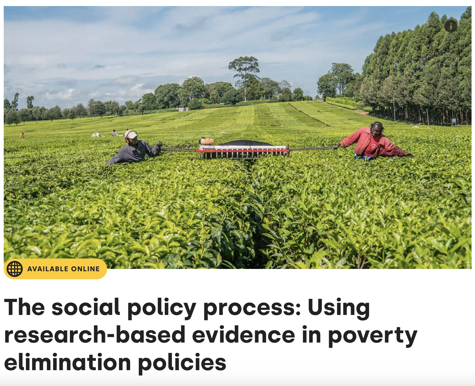 The social policy process: Using research-based evidence in