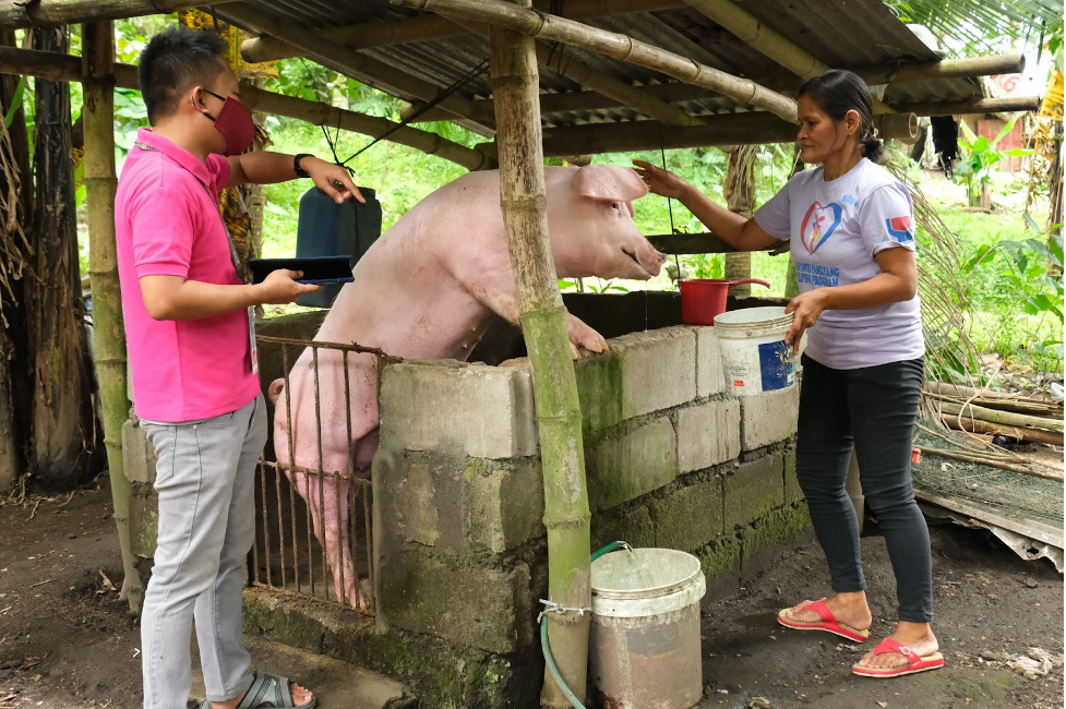 The Philippine Department Of Labor And Employment Drives Coordinated 